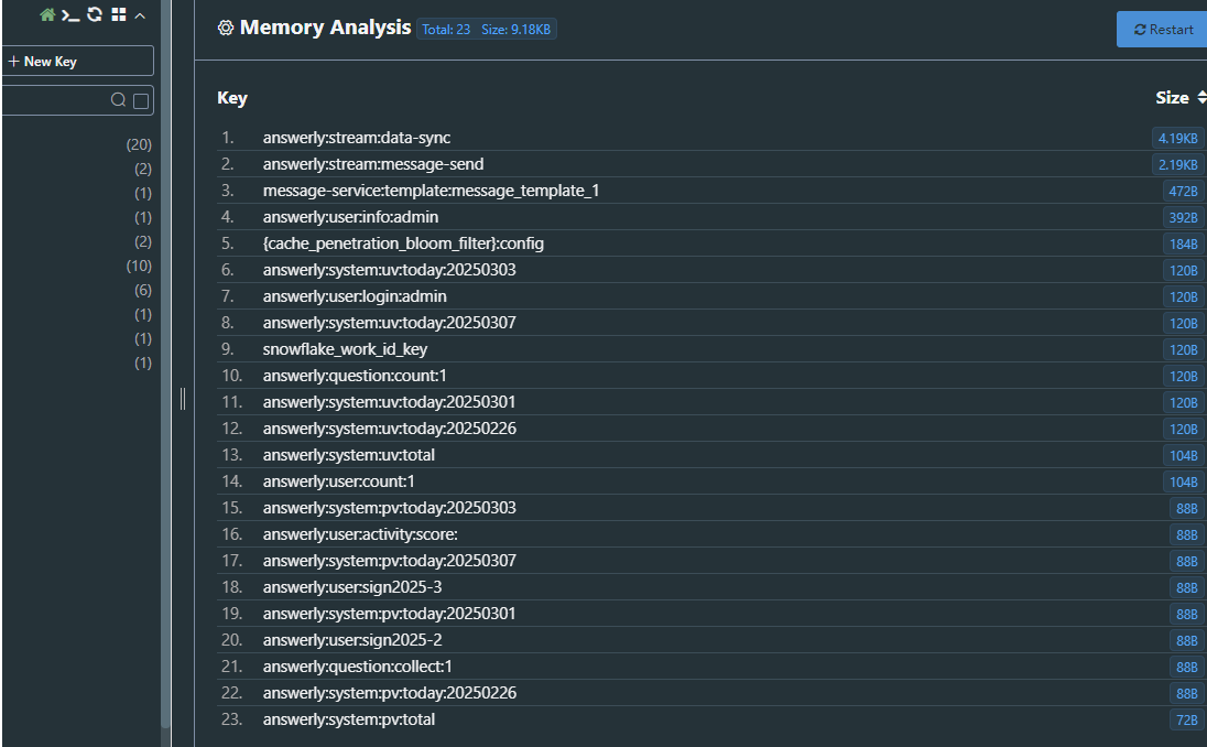 image-20250315215613002